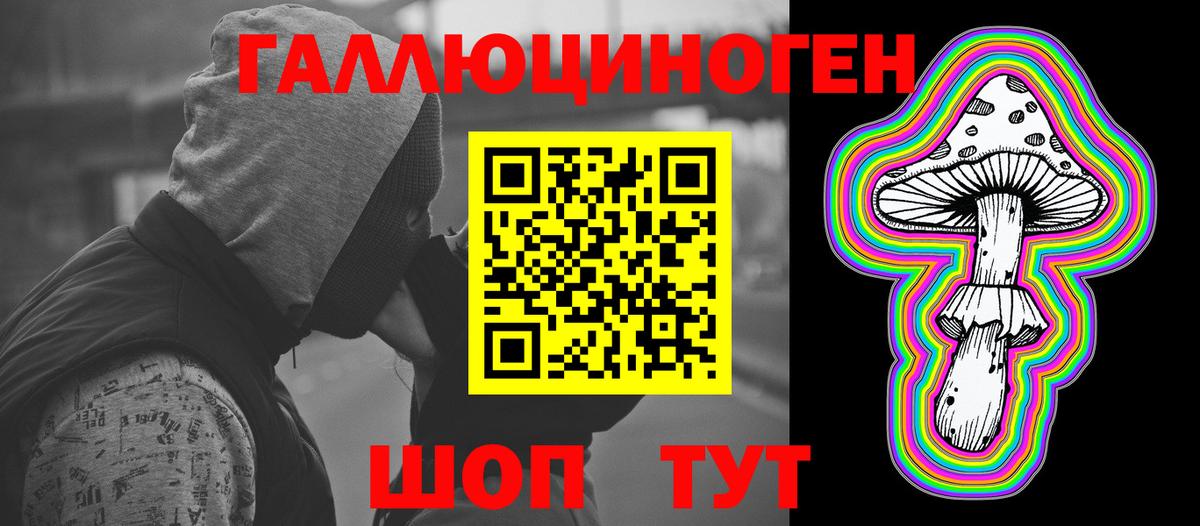 Новошахтинск  Псилоцибиновые грибы MAGIC MUSHROOMS  Псилоцибиновые грибы Cubensis  Вход с VPN 